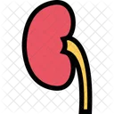 Kidney Clinic Medicine Icon