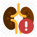 Kidney disease  アイコン
