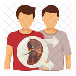 Kidney Donate  Icon