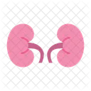 Kidney Organ Medical Icon