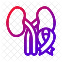 Kidney Organ Ribbon Icon