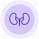 Kidney Black Outline Icon Icon