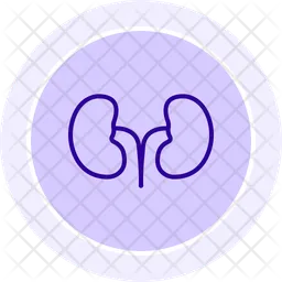 Kidney  Icon