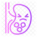 Kidney Urology Healthcare And Medical Icon