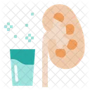 Kidney Renal Nephron Icon