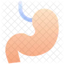 Kidney Medical Anatomy Icon