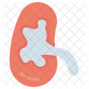 Body Human Kidney アイコン
