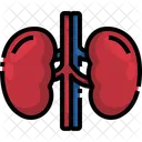 Kidney Organ Body Part Icône