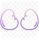 Kidney  Icon