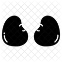 Kidney  Icon
