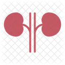 Kidney  アイコン