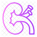 Kidney  アイコン