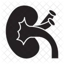 Kidney  アイコン