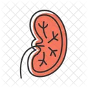 Unhealthy Stones Renal Calculi アイコン