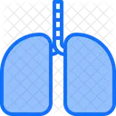 Kidney  アイコン