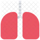 Kidney Organ Medicine アイコン