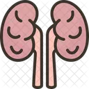 Kidney Urinary Dialysis アイコン