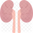 Kidney Urinary Dialysis アイコン