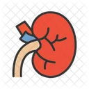 Kidney Organ Medical アイコン