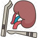 Kidney Surgery Urinary アイコン