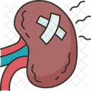 Kidney Pain Renal アイコン