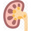 Kidney Stone Disease アイコン