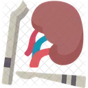Kidney Surgery Urinary アイコン