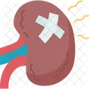 Kidney Pain Renal アイコン