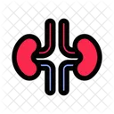 Kidney  Icon