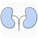 Kidney Awesome Lineal Color Icon 아이콘