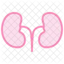 Kidney Color Outline Icon アイコン