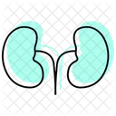Kidney Color Shadow Line Icon アイコン