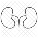 Kidney Grey Thin Line Icon 아이콘