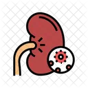 Infection Kidney Color Icon
