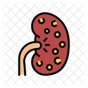 Nephritis Kidney Color Icon