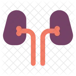 Kidney Organ  Icon