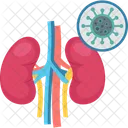 Kidney Problem  Icon
