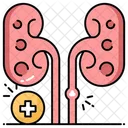 Kidney Stone Kidney Organ 아이콘