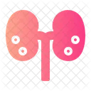 Kidney Stone Disease Healthcare アイコン