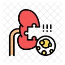 Kidney Stones Kidney Stones アイコン