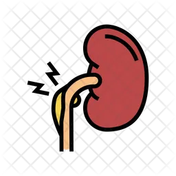 Kidney Syndrome  Icon