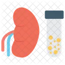 Kidney Test Kidney Disease Urinalysis For Kidney Icon