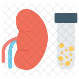 Kidney Test  Icon