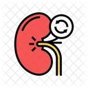 Kidney Transplant Color Icon