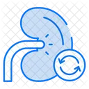 Kidney transplant  Icon