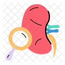 Kidney Treatment  アイコン