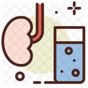Kidney Water  Icon