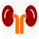 Kidneys  Symbol