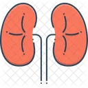 Kidneys Disease Transplant Icon