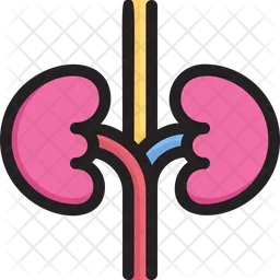 Kidneys  Icon